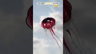 other unique kite vs this guy #trolledit #edit #trending