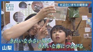 #11 水辺の生き物観察会｜海と日本PROJECT in やまなし