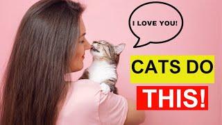  12 BIZARRE Signs Your Cat is OBSESSED With You! (#3 Will Shock You!)