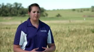 Kansas State University: What is Agronomy?