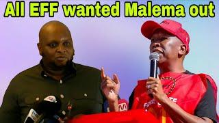 Floyd Shivambu says all EFF leaders wanted Julius Malema out.