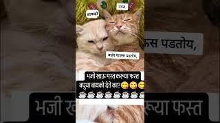 मजेशीर संवाद #mrs #snehapatil #trending #shorts #daily #cat #catlover #viralcomedy #funny #viralshr