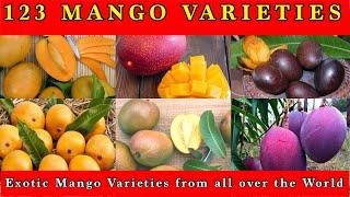 123 Mango Varieties | Exotic Mango Cultivars | M-Tech Gardens