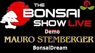 The Bonsai Show Live Demo Mauro Stemberger