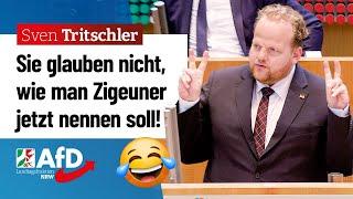 Neues Wort für „Zigeuner“ ist der pure Blödsinn! – Sven Tritschler (AfD)