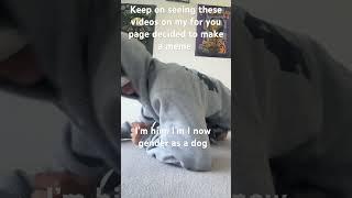 #funny #music I keep on seeing these videos meme ￼