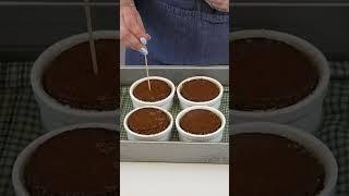 The BEST Sticky Toffee Pudding Ever!