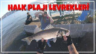 MARMARİS HALK PLAJINDA LEVREK AVI