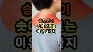 승모근이 솟는 진짜 이유 3가지#거북목 #어깨통증