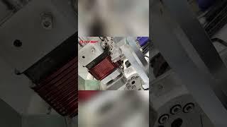 Hub Motor Stator Winding Machine