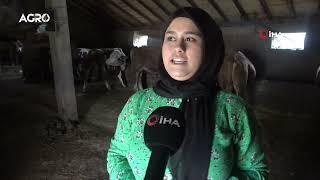 Kadın Girişimciden Devlet Desteğiyle Hayvancılık! Kendi İşinin Patronu Oldu / AGRO TV Haber