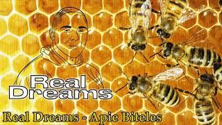 Real Dreams - Apie Biteles