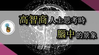 【金手指】高智商的人在思考時腦中是怎樣的景象 | 認知教室