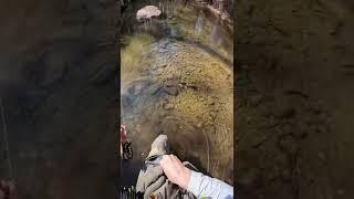 what would you do if you did not have a license? #fishing #flyfishing #troutfishing