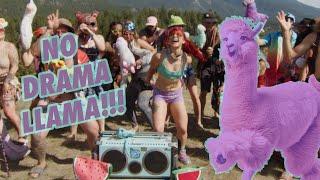 Drama Llama (Offical Music Video)