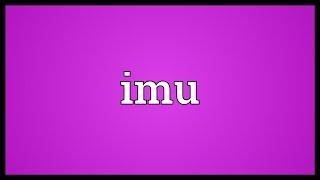 Imu Meaning