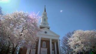 UMD in Bloom
