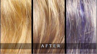 FANOLA NO YELLOW SHAMPOO on Blondes, Dark Blondes and Brown Hair (PURPLE SHAMPOO)