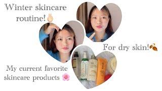 Winter skincare products for dry skin | my current skincare routine | December | New beginning |