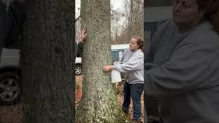 MAPLE SYRUP TIME!!! #tappingtrees #maplesyrup #farmlife #homestead @chamberlinfamilyfarms7314