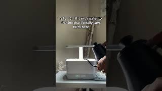 Aerogarden. Fool-proof setup.