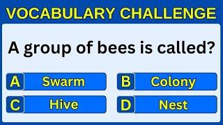 Vocabulary Challenge | Only Word Experts Can Pass This Test #challenge 7