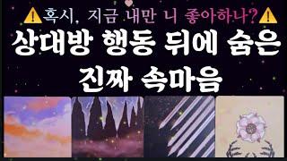 [타로]도무지 알 수 없는  그 사람의 행동과 본심을 콕콕짚어 드릴게요