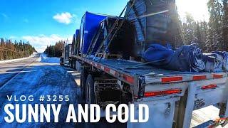 SUNNY AND COLD | My Trucking Life | Vlog #3255