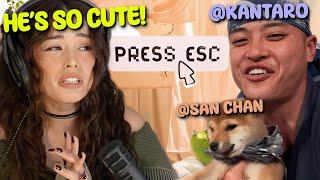 Valkyrae's next podcast guest is Kantaro & San Chan(Shiba Inu)
