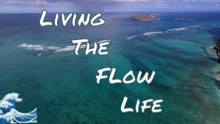 Flowology Ep1 - Living The Flow Life