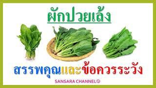 ผักปวยเล้ง : สรรพคุณและข้อควรระวัง