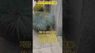 인생은 바람처럼 구름처럼~~^