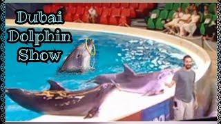 DUBAI DOLPHIN SHOW | KIDS ENJOY WATCHING HOW DOLPHIN PLAY | Manay Magayon