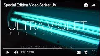 SPECIAL EDITION VIDEO SERIES: Volume 4 - UV Technology