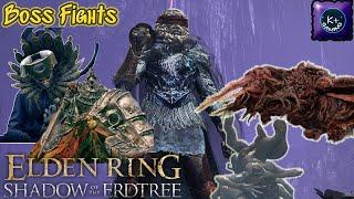 Taking Out Some Optional DLC Bosses | ELDEN RING