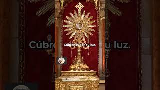  Oración para la PROTECCIÓN DIVINA de DIOS ️  #horasanta #santisimo #dios #oracion #pazinterior