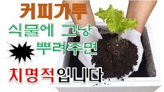  커피 찌꺼기 천연퇴비 만드는법, 커피 가루로 친환경 퇴비 만들기