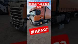 Scania R с пробегом 1 300 000 км - живая или нет? - Автоподбор грузовых авто Scania