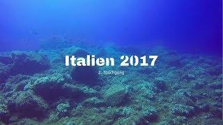 Tauchurlaub auf Elba, Italien 2017 | Second Dive - Pomontre | FortunGames