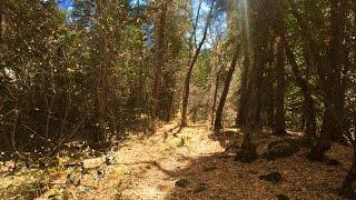 Grizzly Creek Trail - Glenwood Springs Colorado