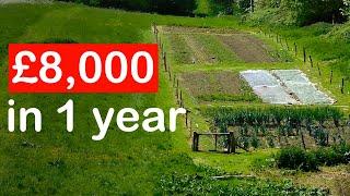 0.1 Acre Market Garden Tour | £8,000 In The First Year.