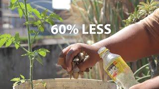 Simple trick to save water for gardening during drought