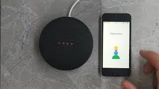 The incredibly long addition of the nest mini to google home