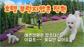 잡초 제거 잔디관리 꿀팁!  정원이 바뀌는 실전 루틴 5가지로 호텔같은 정원으로 바뀌었어요