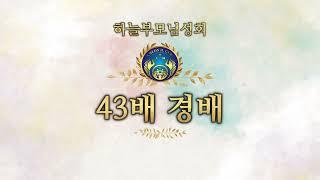 통일교 43배 경배정성 영상