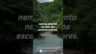 Salmos 1 em música   #musicacrista #salmos1 #louvor