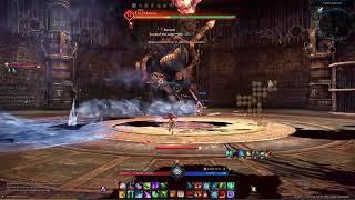 Tera Legacy (server development) - Testing Progression