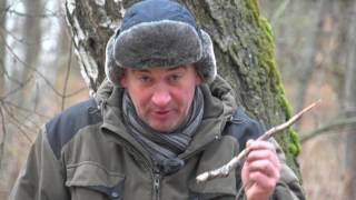 Уроки выживания в дикой природе. Сезон 1. Компас из ничего