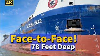 ️ 78 Feet Deep: Face to Face With a Floating Giant!