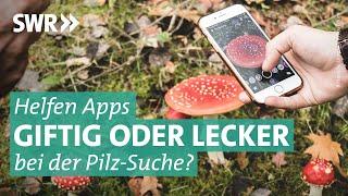 Pilze bestimmen mit Apps – welche sind zuverlässig? | Marktcheck SWR